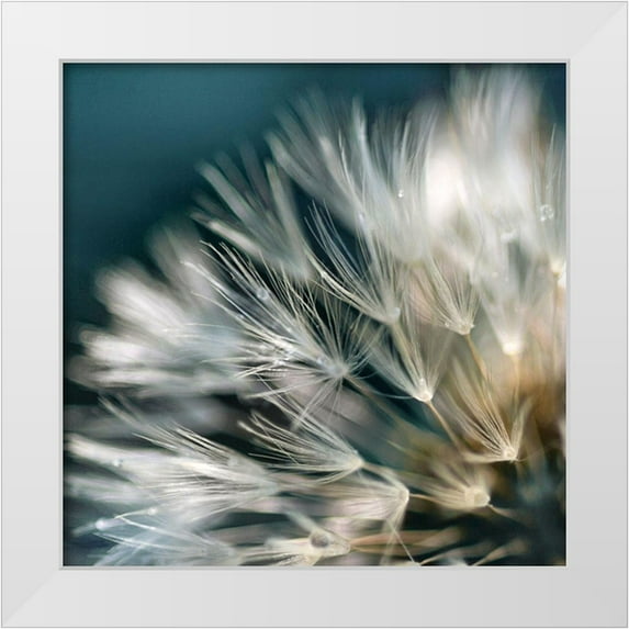 Miller, Irene 12x12 White Modern Wood Framed Museum Art Print Titled - Dandelion Dreams I