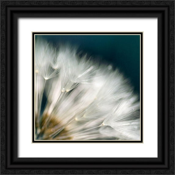 Miller, Irene 20x20 Black Ornate Wood Framed with Double Matting Museum Art Print Titled - Dandelion Dreams II