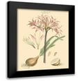 thumbnail image 1 of Miller, John 12x14 Black Modern Framed Museum Art Print Titled - Blushing Pink Florals II, 1 of 5