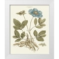 thumbnail image 1 of Miller, John 12x14 White Modern Wood Framed Museum Art Print Titled - Bashful Blue Florals I, 1 of 4