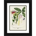 thumbnail image 1 of Miller, John 17x24 Black Ornate Wood Framed with Double Matting Museum Art Print Titled - Imperial Tropical Botanical II, 1 of 4