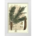 thumbnail image 1 of Miller, John 18x24 White Modern Wood Framed Museum Art Print Titled - Antique Weymouth Pine Tree, 1 of 4