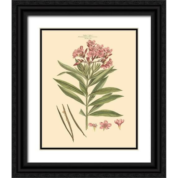 Miller, John 26x32 Black Ornate Wood Framed with Double Matting Museum Art Print Titled - Blushing Pink Florals III