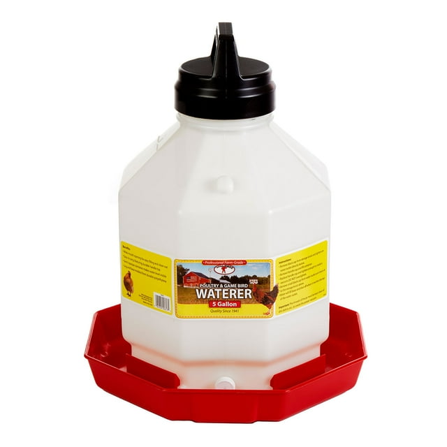Miller Little Giant Automatic Poultry Waterer, Large Capacity 5 Gal