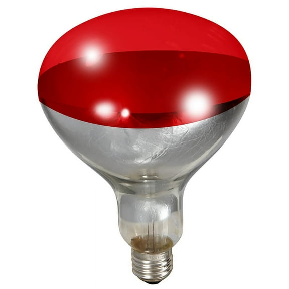 Miller Little Giant Brooder Heat Lamp With 250-Watt Red Bulb for Poultry