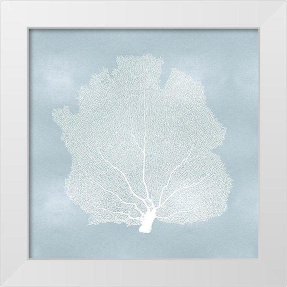 Miller, Melonie 12x12 White Modern Wood Framed Museum Art Print Titled - Sea Fan on Aqua I