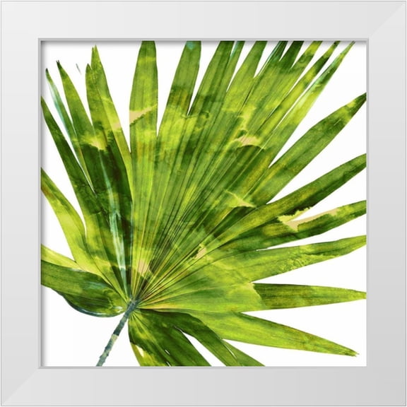 Miller, Melonie 12x12 White Modern Wood Framed Museum Art Print Titled - Tropical Palm IV