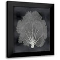 thumbnail image 1 of Miller, Melonie 12x14 Black Modern Framed Museum Art Print Titled - Sea Fan on Black II, 1 of 5