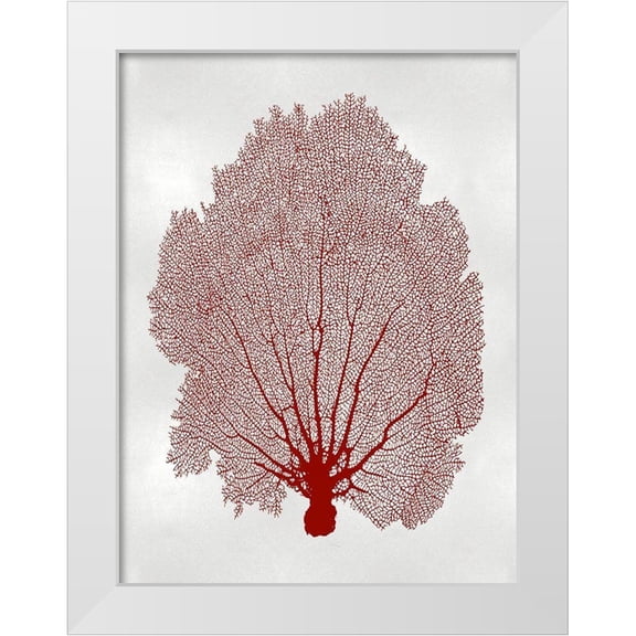 Miller, Melonie 12x14 White Modern Wood Framed Museum Art Print Titled - Sea Fan Coral II
