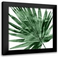 thumbnail image 1 of Miller, Melonie 15x15 Black Modern Framed Museum Art Print Titled - Tropical Green Palm IV, 1 of 5