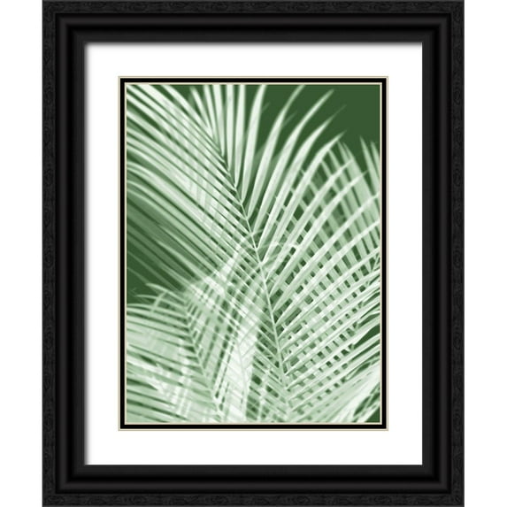 Miller, Melonie 19x24 Black Ornate Wood Framed with Double Matting Museum Art Print Titled - Palm Shadows Green I
