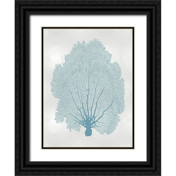 Miller, Melonie 25x32 Black Ornate Wood Framed with Double Matting Museum Art Print Titled - Sea Fan Aqua II
