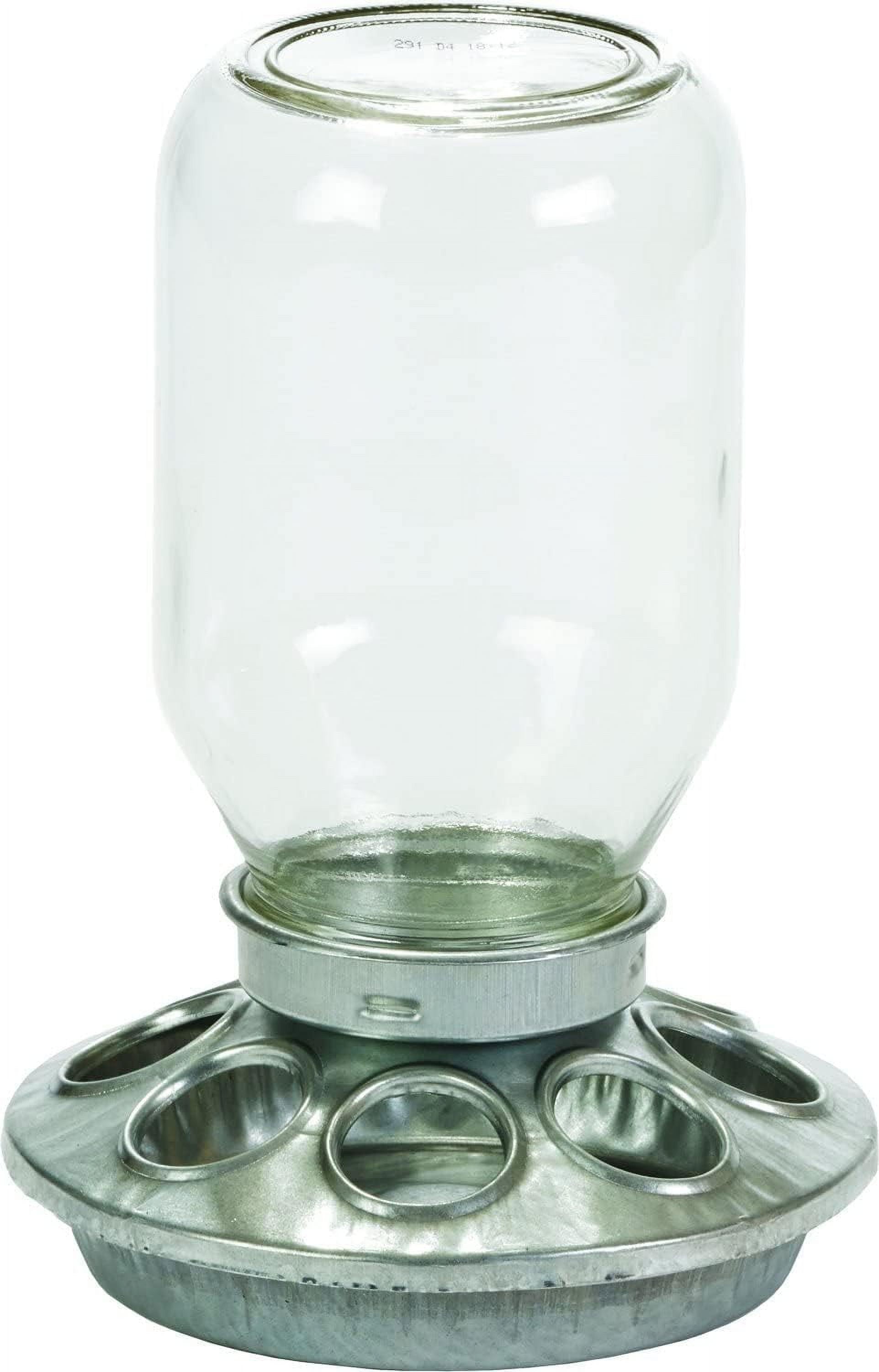 MILLER MANUFACTURING COMPANY Little Giant Mason Jar Baby Chick Feeder 1 Quart