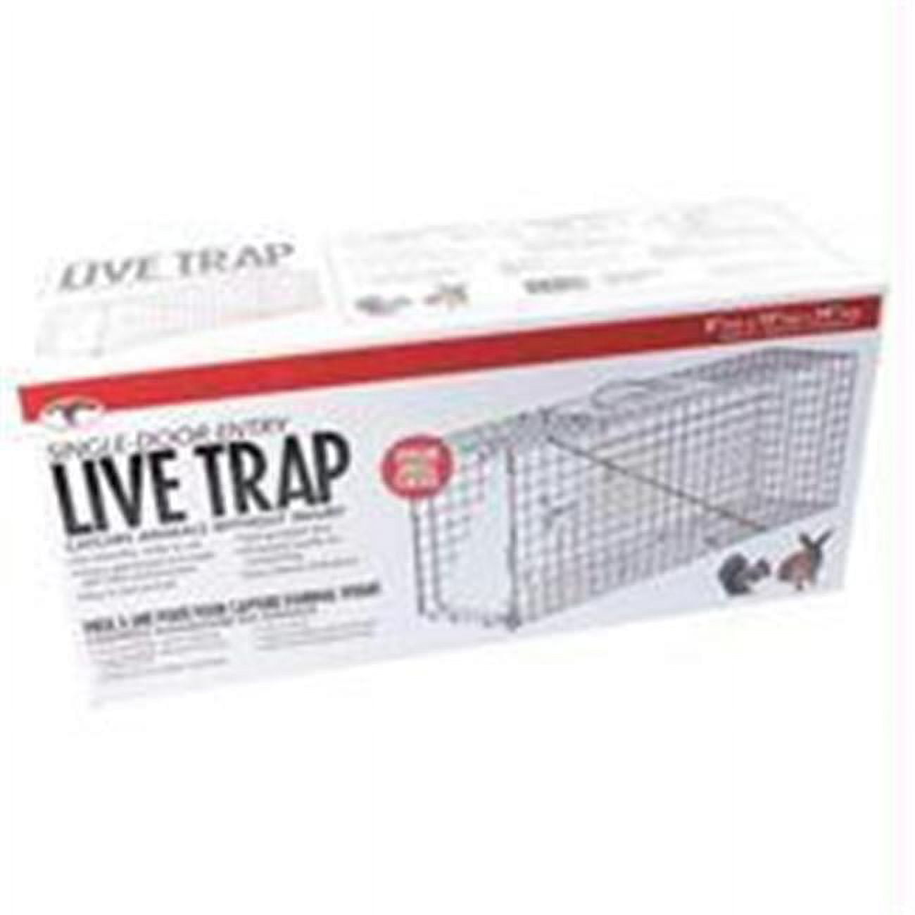 Little Giant LT1 Live Animal Trap, Spring-Loaded Door D&B Supply