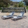 Miller Outdoor Mesh Chaise Lounge, Set of 2, Dark Grey, Silver