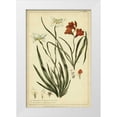 thumbnail image 1 of Miller, Philip 11x14 White Modern Wood Framed Museum Art Print Titled - Morea and Ixia, Pl. CCXXXIX, 1 of 4