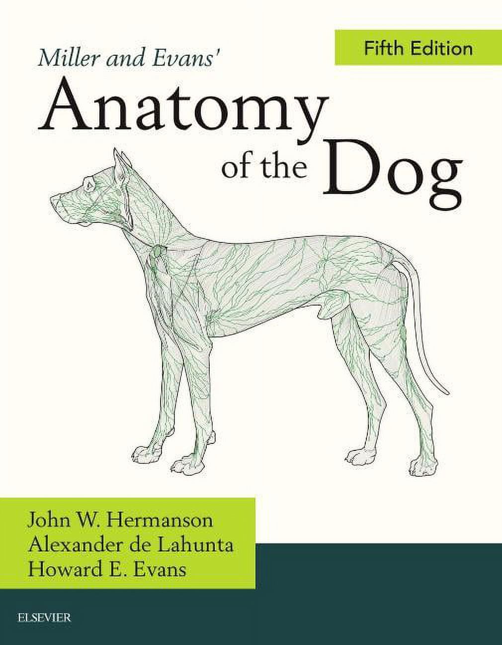Miller's Anatomy of the Dog, (Hardcover)