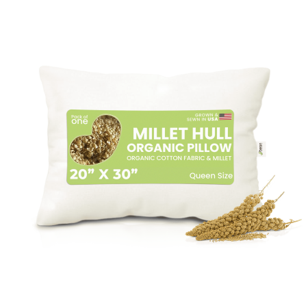 Millet 20X30" Queen Bed Pillow - Organic Cotton Fabric Soft Pillow with Zipper - Made in USA