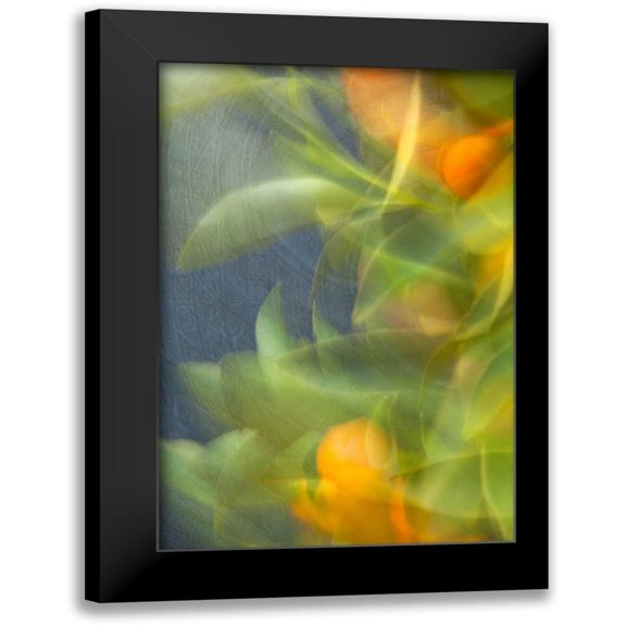 Millet, Karyn 11x14 Black Modern Framed Museum Art Print Titled - Abstract Vision I