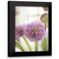 thumbnail image 1 of Millet, Karyn 11x14 Black Modern Framed Museum Art Print Titled - Blossoms I, 1 of 5