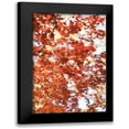 thumbnail image 1 of Millet, Karyn 11x14 Black Modern Framed Museum Art Print Titled - Fall Leaves, 1 of 5