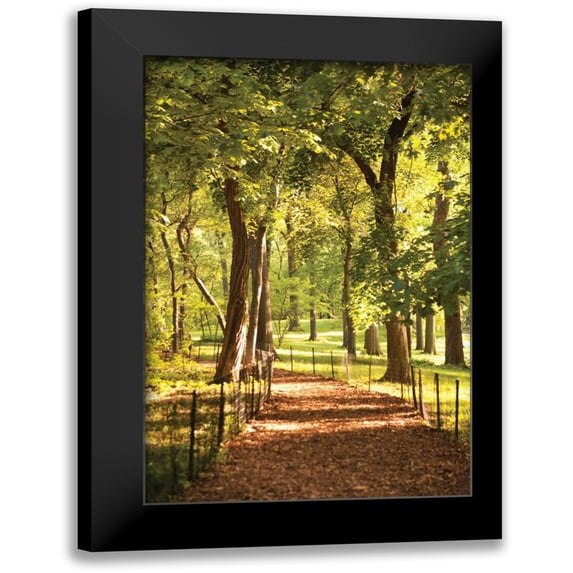 Millet, Karyn 11x14 Black Modern Framed Museum Art Print Titled - Follow the Path II