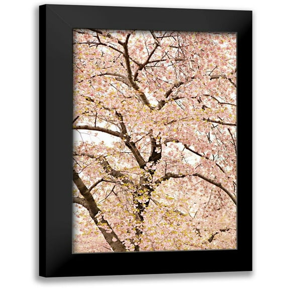Millet, Karyn 11x14 Black Modern Framed Museum Art Print Titled - In Bloom XXII