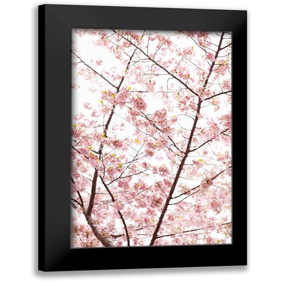 Millet, Karyn 11x14 Black Modern Framed Museum Art Print Titled - In Bloom XX