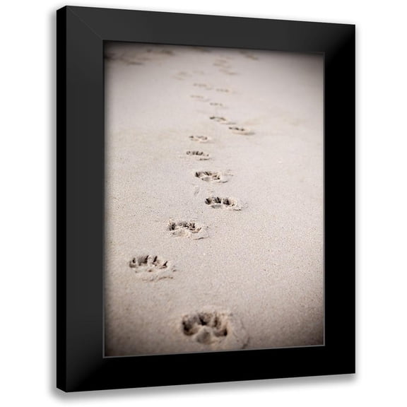 Millet, Karyn 11x14 Black Modern Framed Museum Art Print Titled - Paw Prints In Sand