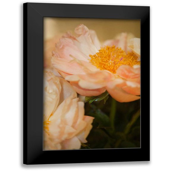 Millet, Karyn 11x14 Black Modern Framed Museum Art Print Titled - Peach Peonies II