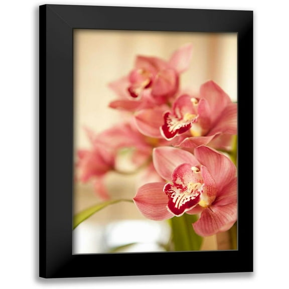 Millet, Karyn 11x14 Black Modern Framed Museum Art Print Titled - Pink Orchid I