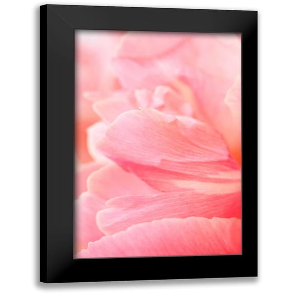 Millet, Karyn 11x14 Black Modern Framed Museum Art Print Titled - Pink Peony III