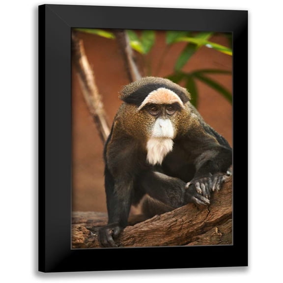 Millet, Karyn 11x14 Black Modern Framed Museum Art Print Titled - Primate I