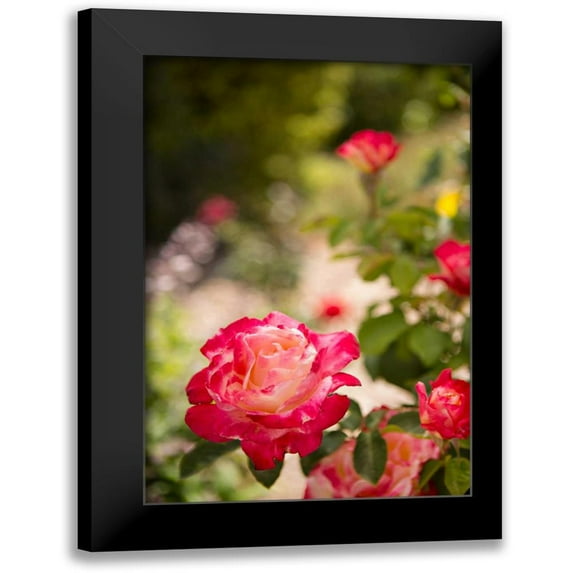 Millet, Karyn 11x14 Black Modern Framed Museum Art Print Titled - Rose Garden I