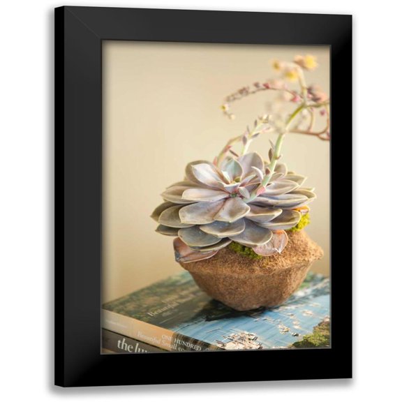 Millet, Karyn 11x14 Black Modern Framed Museum Art Print Titled - Small Succulent