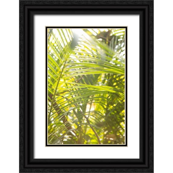 Millet, Karyn 11x14 Black Ornate Wood Framed with Double Matting Museum Art Print Titled - Palm Fonds II