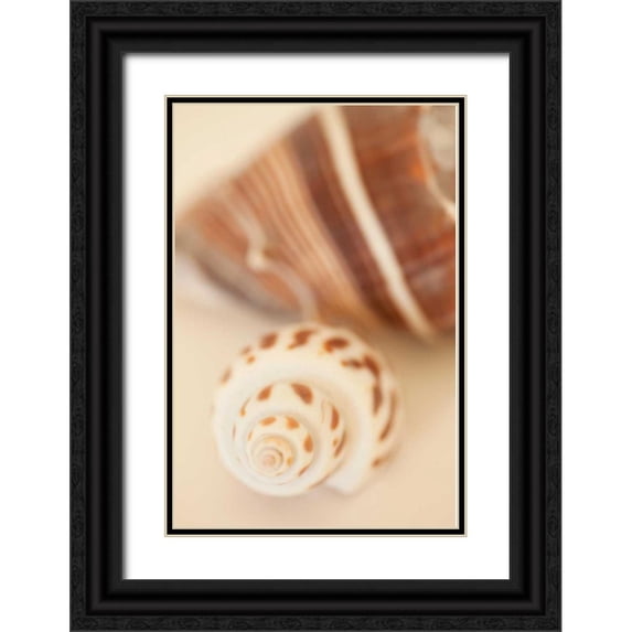 Millet, Karyn 11x14 Black Ornate Wood Framed with Double Matting Museum Art Print Titled - Shell by Shell III