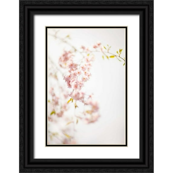 Millet, Karyn 11x14 Black Ornate Wood Framed with Double Matting Museum Art Print Titled - Soft Blooms IV