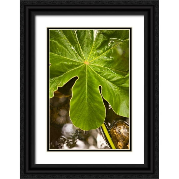 Millet, Karyn 11x14 Black Ornate Wood Framed with Double Matting Museum Art Print Titled - Tropical Leaves IV