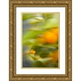 thumbnail image 1 of Millet, Karyn 11x14 Gold Ornate Wood Framed with Double Matting Museum Art Print Titled - Abstract Vision II, 1 of 4