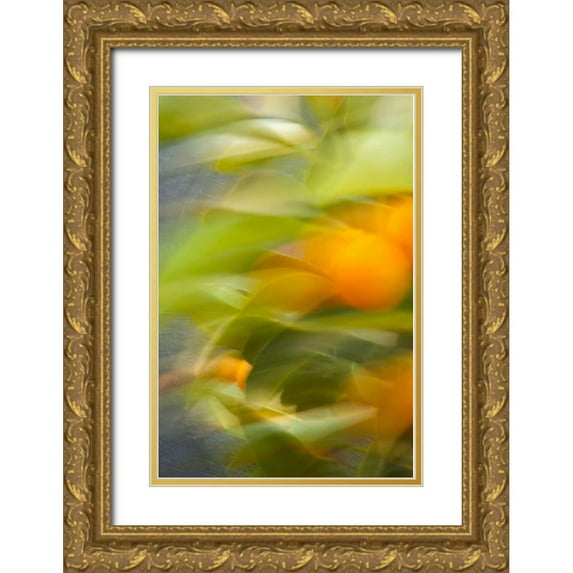 Millet, Karyn 11x14 Gold Ornate Wood Framed with Double Matting Museum Art Print Titled - Abstract Vision II
