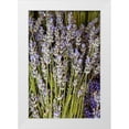 thumbnail image 1 of Millet, Karyn 11x14 White Modern Wood Framed Museum Art Print Titled - Cut Lavender I, 1 of 4