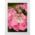 thumbnail image 1 of Millet, Karyn 11x14 White Modern Wood Framed Museum Art Print Titled - Lace Hydrangea I, 1 of 4