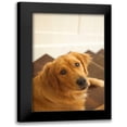 thumbnail image 1 of Millet, Karyn 13x18 Black Modern Framed Museum Art Print Titled - Goldie I, 1 of 5