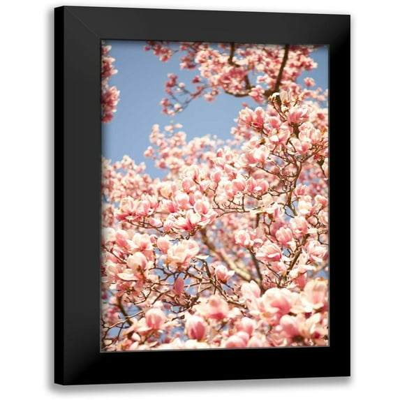 Millet, Karyn 13x18 Black Modern Framed Museum Art Print Titled - In Bloom IV
