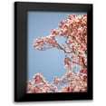 thumbnail image 1 of Millet, Karyn 13x18 Black Modern Framed Museum Art Print Titled - In Bloom VI, 1 of 5