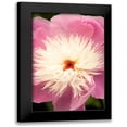 thumbnail image 1 of Millet, Karyn 13x18 Black Modern Framed Museum Art Print Titled - Pink and White Peony I, 1 of 5