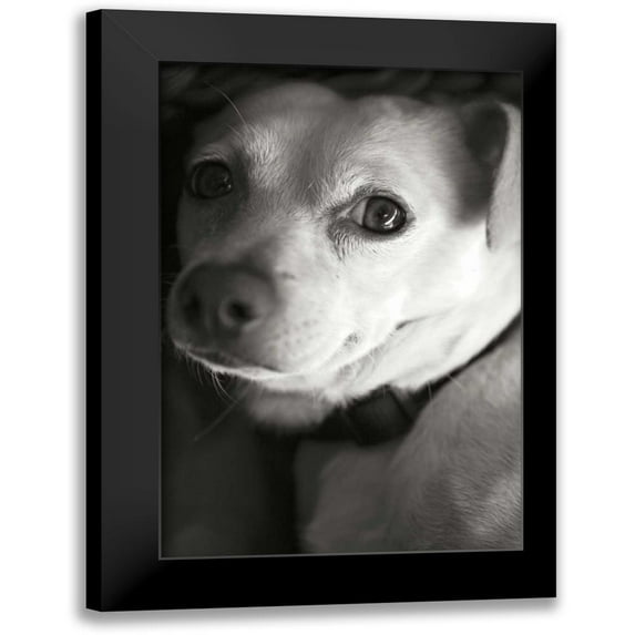 Millet, Karyn 13x18 Black Modern Framed Museum Art Print Titled - Second Glance