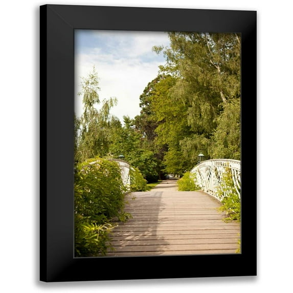 Millet, Karyn 13x18 Black Modern Framed Museum Art Print Titled - Secret Garden IV