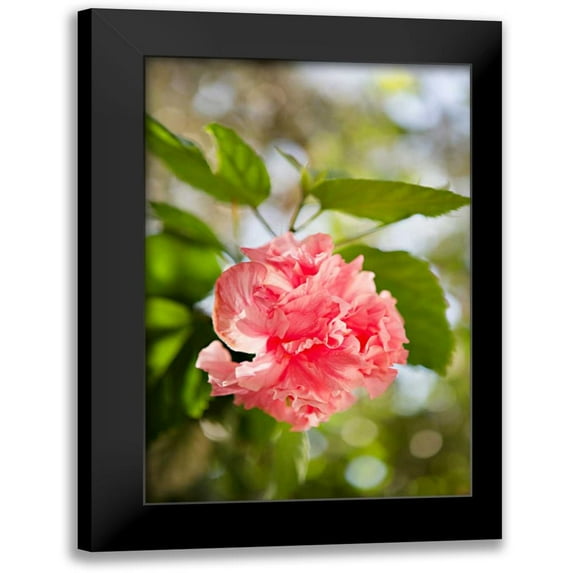 Millet, Karyn 13x18 Black Modern Framed Museum Art Print Titled - Spring Bloom II